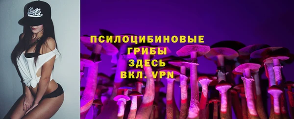 прущий лед Алексин