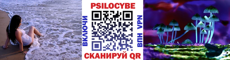 ссылка на мегу как войти  Мышкин  Псилоцибиновые грибы ЛСД 
