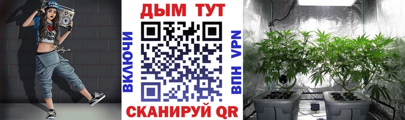 купить закладку  Мышкин  мега рабочий сайт  Канабис THC 21% 